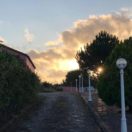 Quinta Do Avo Dimas - Rural Home - Sao Bras Porto Formoso Eksteriør billede